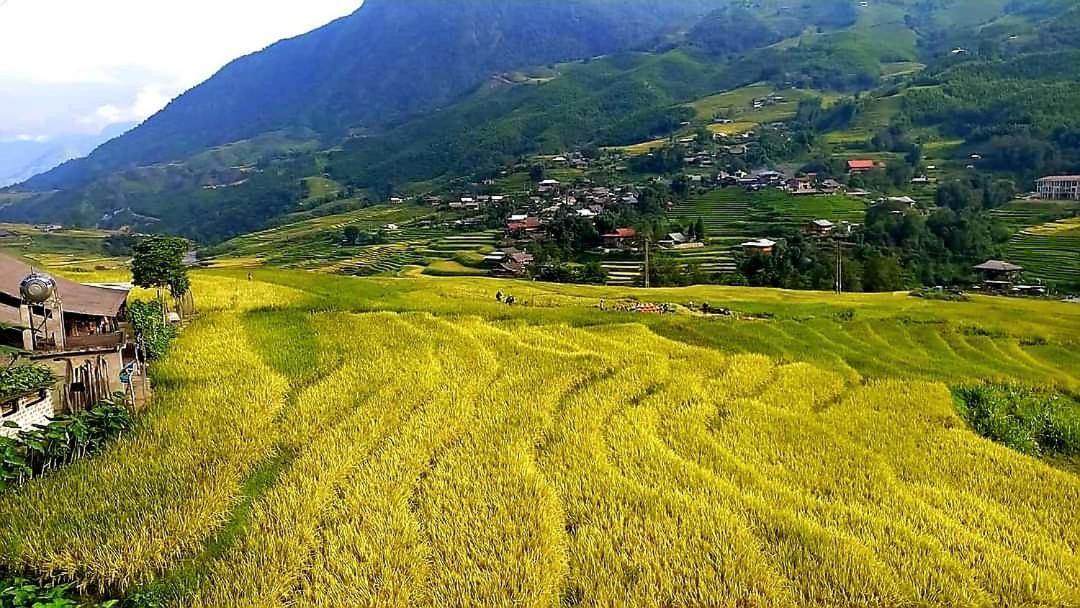 Tavan Dragon House Lao Cai Exteriör bild